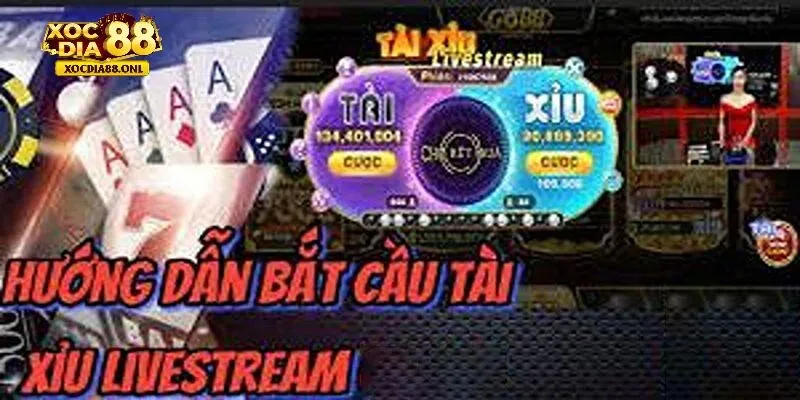 Cách chơi tài xỉu livestream trên Xocdia88